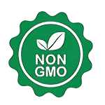 비 gmo